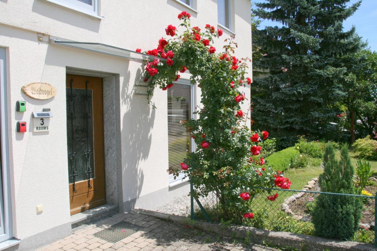 Waldvogel Ferienzimmer Klimatisiert Имменштад-ам-Бодензее Экстерьер фото